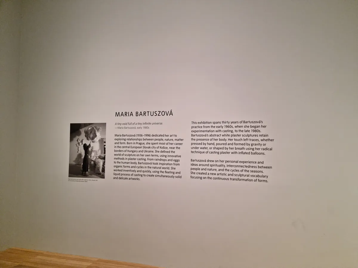 Maria Bartuzova Gallery Image 11